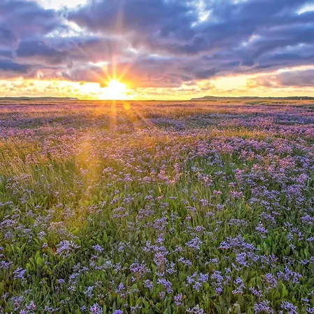 Prázdninový dům Serene In De Koog Texel With Sauna Westermient